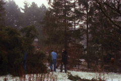 1990-0006-0000-0026-LF1