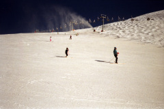 1990-0001-0000-0009-LF1