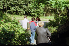 1990-0003-0000-0016-LF1