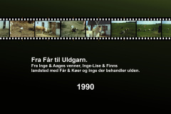 1990-0005-0000-0001-LF1