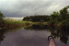 1991-0004-0000-0015-LF1