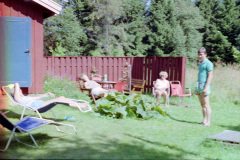 1991-0004-0000-0034-LF2