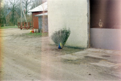 1991-0007-0000-0006-LF1