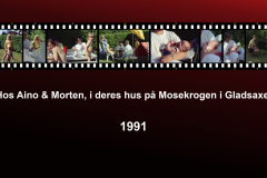 1991-0006-0000-0001-LF1
