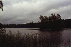 1993-0004-0000-0008-LF1