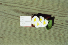 1994-0004-0801-0008-LF1