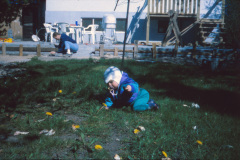 1994-0003-0000-0022-LS1