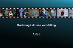 1995-0008-0000-0001-LF1