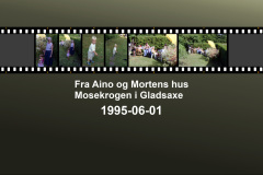 1995-0004-0000-0001-LF1