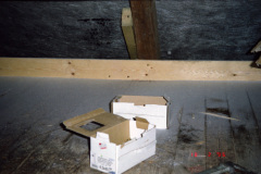 1995-0009-0000-0003-LF1
