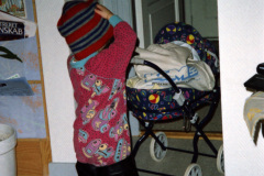1996-0002-0000-0002-PS1