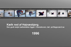 1996-0001-0000-0001-LS1