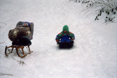 1996-0001-0000-0005-LS1