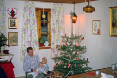 1996-0003-0000-0003-PS1