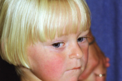 1998-0005-0000-0025-LF1