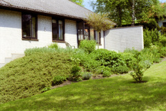 1998-0009-0000-0006-LF1