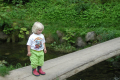 2000-0018-0000-0026-LF1