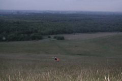 2000-0012-0000-0003-LF1