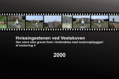 2000-0038-0000-0001-LF1