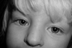 2000-0039-0000-0027-LF1