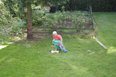 2000-0015-0000-0022-LF1
