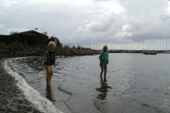 2000-0013-0000-0043-LF1