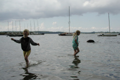 2000-0013-0000-0044-LF1