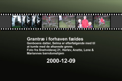 2000-0024-0000-0001-LF1