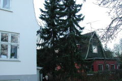2000-0024-0000-0002-PF1