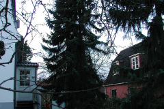 2000-0024-0000-0003-PF1