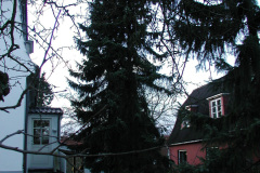 2000-0024-0000-0004-PF1