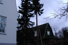 2000-0024-0000-0005-PF1