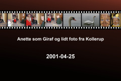 2001-0019-0425-0001-LF1