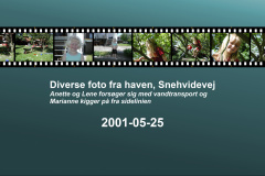 2001-0025-0525-0001-LF1