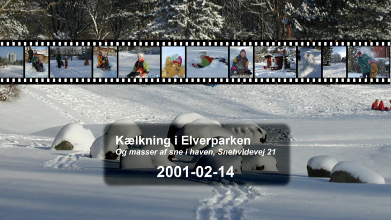 2001-0006-0204-0001-LF1