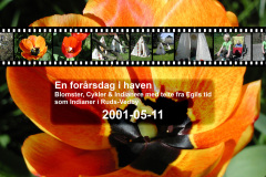 2001-0023-0511-0001-LF1