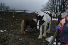 2001-0014-0316-0003-LF1