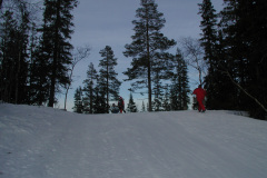 2001-0010-0311-0027-LF1