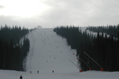 2001-0010-0311-0032-LF1