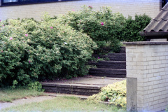 2001-0002-0000-0006-LF1