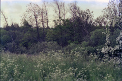 2001-0002-0000-0017-LF1