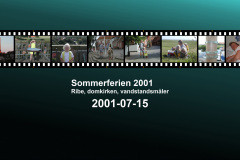 2001-0038-0715-0001-LF1