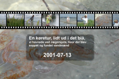 2001-0033-0713-0001-LF1
