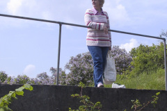 Middelgrunden