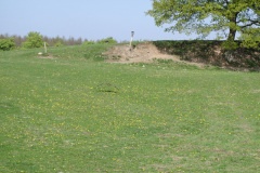 Falkonergården