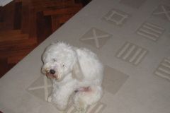 2005-0012-0718-0107-LF1