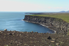 2005-0012-0719-0302-LF1