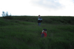 2005-0012-0720-0511-LF1