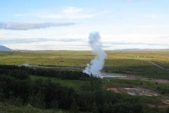 2005-0012-0720-0515-LF1