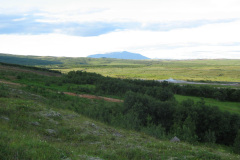 2005-0012-0720-0516-LF1